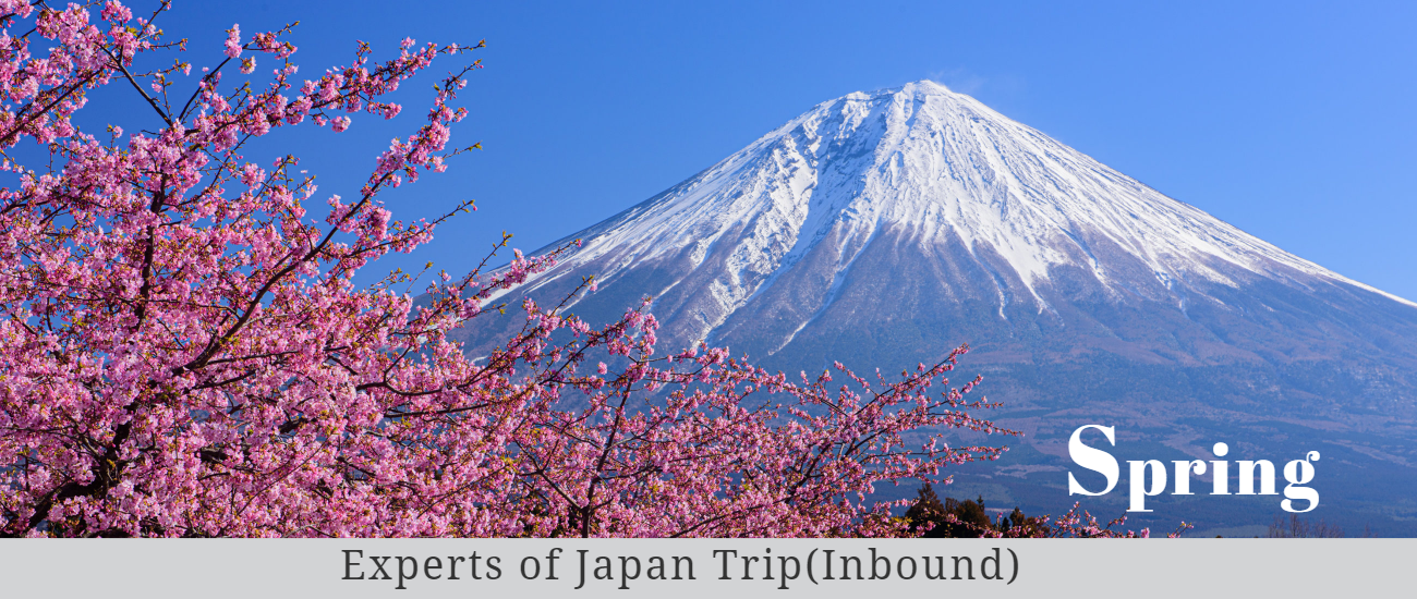 Four Seasons of Mt.Fuji for Traveling to Japan